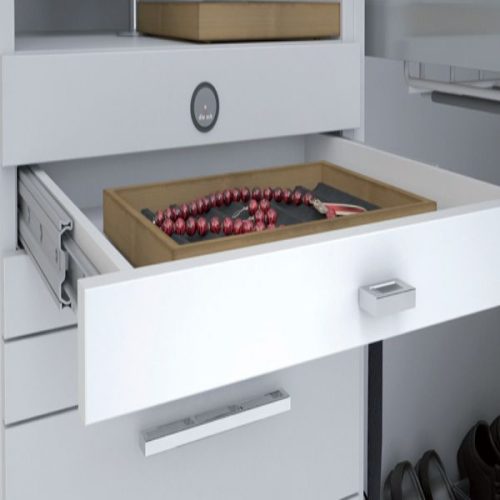 Ray bi giảm chấn 500mm Hafele 494.02.065